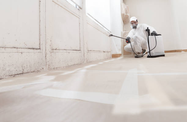 24/7 Emergency Basement Mold Remediation experts in Burtonsville, MD